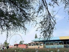 -祥源·阜阳生态乐园