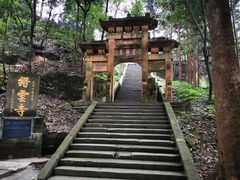 -缙云山景区