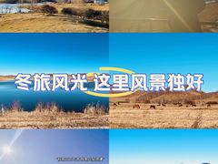 -乌兰布统草原