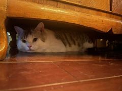 -云端咖啡私房店(河松街店)