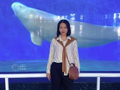 -泉城欧乐堡海洋极地世界