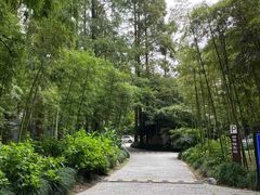 -杭州西湖柳莺里酒店·闻莺厅