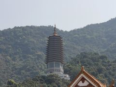 -深圳仙湖植物园