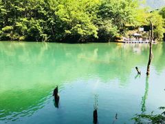 -郧西五龙河风景区