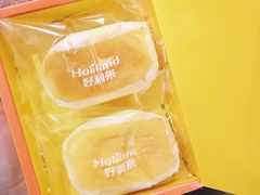 -蒲公英(五里店)