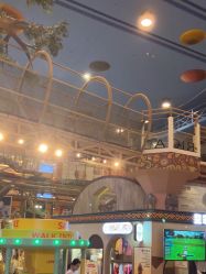 -卡通尼·Safari非洲探索乐园·生日会(金桥国际商业广场店)