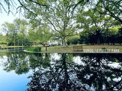 -上海共青森林公园