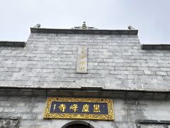 -长沙黑麋峰国家森林公园