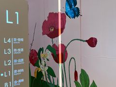 -凯德MALL(望京店)
