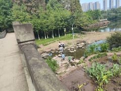 -重庆彩云湖湿地公园