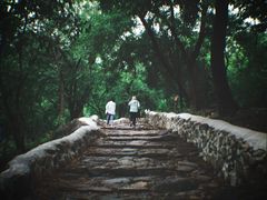 -阳台山自然风景区