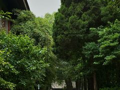 -大慈恩寺(大雁塔)