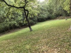 -南京市江宁方山