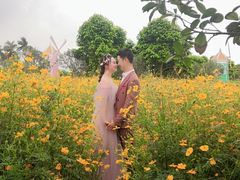 -百万葵园