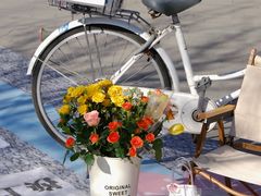 -天津五大道文化旅游区