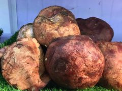 -七采菌园·石锅鱼野生菌火锅(环城北路店)