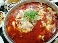 乌江鱼-重庆火锅水库鱼庄(南油店)