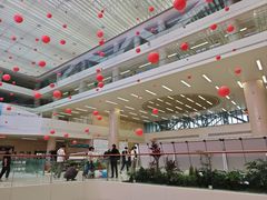 -中国人民解放军总医院(301医院)