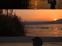 -阳宗海湿地