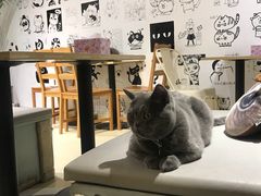 景观位-小时光咖啡馆(开森度假森林店)