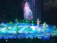 -珠海横琴长隆《卡卡虎奇遇记》