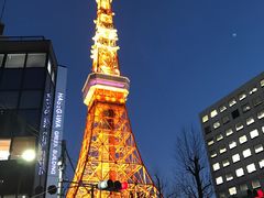 -东京塔海贼王主题公园