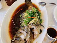 -聚龙酒家(富豪花园店)