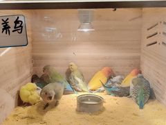-伊藤洋华堂(高新店)