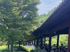 -庐山风景名胜区-东林大佛
