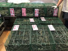 -荔城生鲜盛宴(番禺旗舰店)