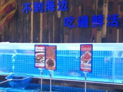 -锦绣金山人家(友谊店)