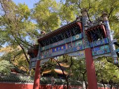 -北京国子监胡同