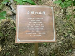 -苏州丝绸博物馆
