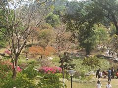 -东莞植物园