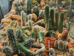 -国家植物园南园