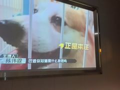-华夏良子·足道SPA养生(上海崮山路明悦店)