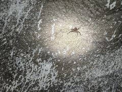 -地心探险极地