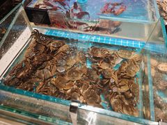 -加餐海鲜自助(集美银泰百货店)