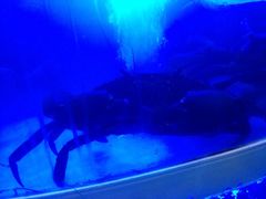 iphone_upload_pic-七欣天香辣蟹火锅(海门解放中路店)