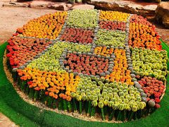 -南通洲际绿博园