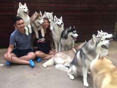-TrueLove @ Neverland (Husky Cafe)