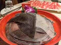 -二荆条·蜀鲜汇城市森林火锅