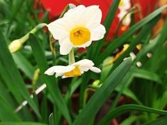 -共青国家森林公园-售票处