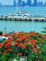 -厦门屿爱月子中心(独栋海湾店)