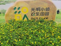 -光明小镇欢乐田园
