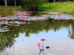 -白沙门生态公园