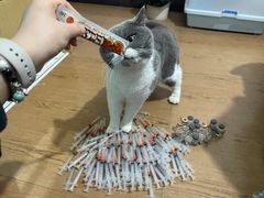 -爱侣宠医·鹦鹉专科·小型哺乳类·异宠专科(灵石路店)