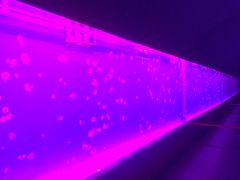 -多彩贵州城极地海洋世界