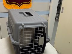 -中农国际动物医院24小时·猫科·骨科·急重症中心