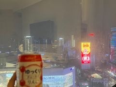 -南京金陵饭店